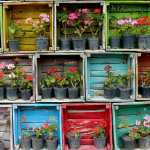 1.FlowerBoxes1-2